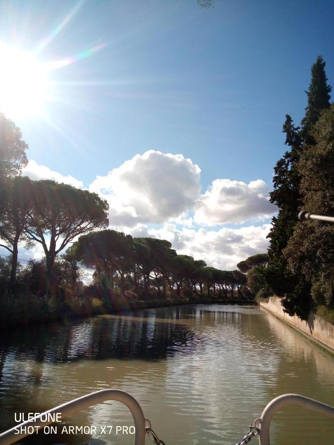 Olive View Villa Puissalicon Luaran gambar